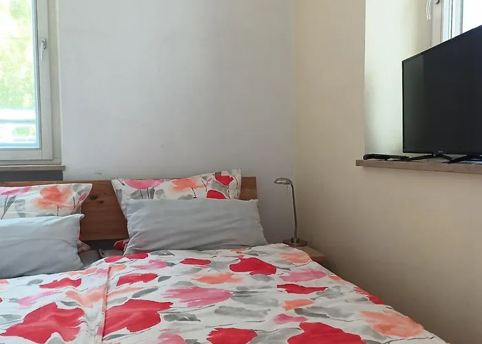 Апартаменты Gaestehaus Am Main